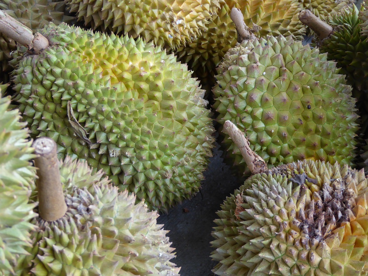 榴槤香料