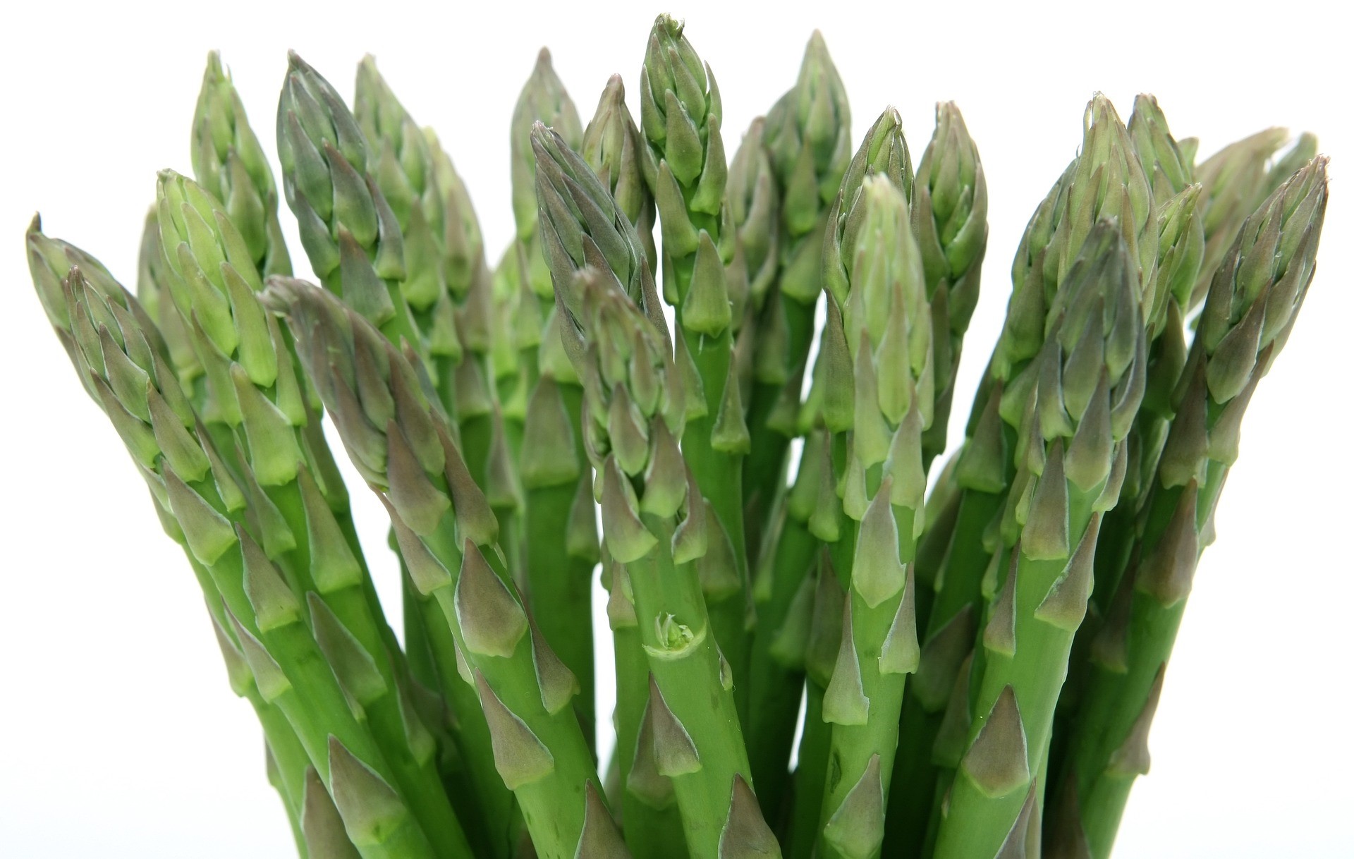 蘆筍香料 Asparagus Flavor