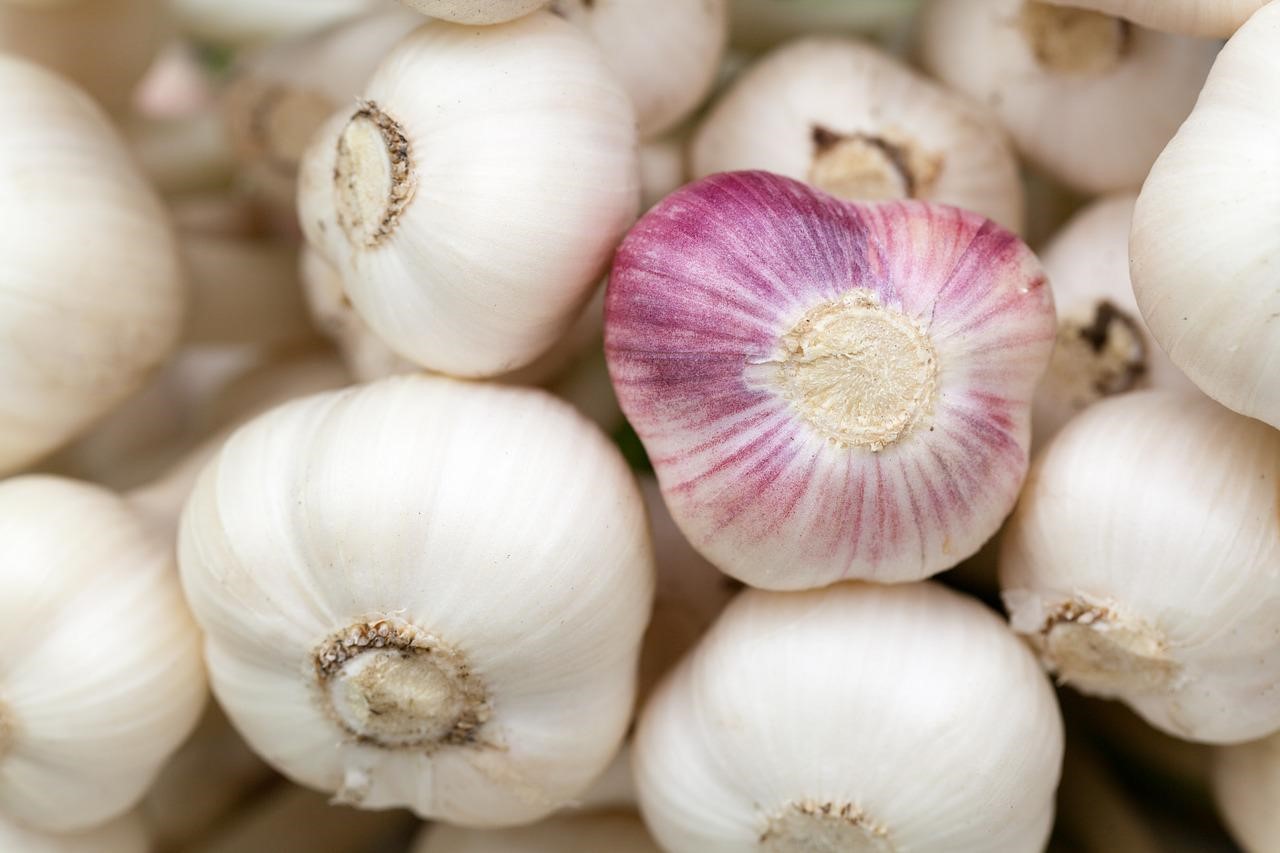 蒜精香料	Garlic Flavor