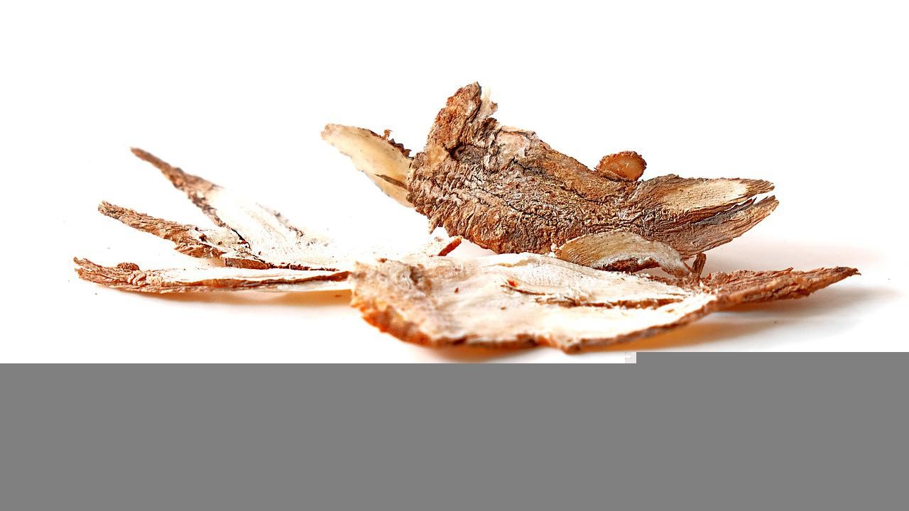 當歸香料	Angelica Flavour
