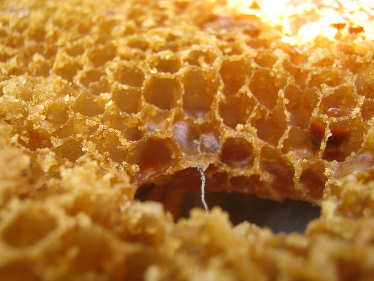 生龍眼蜜香料 Honey Flavor