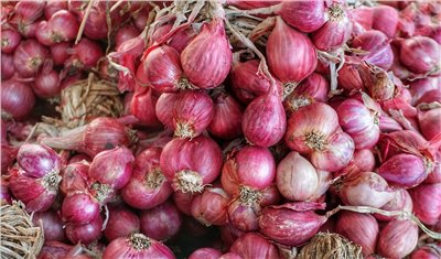 紅蔥膏香料∞Onion Flavor