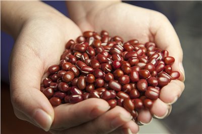 紅豆香料∞Redbean Flavour